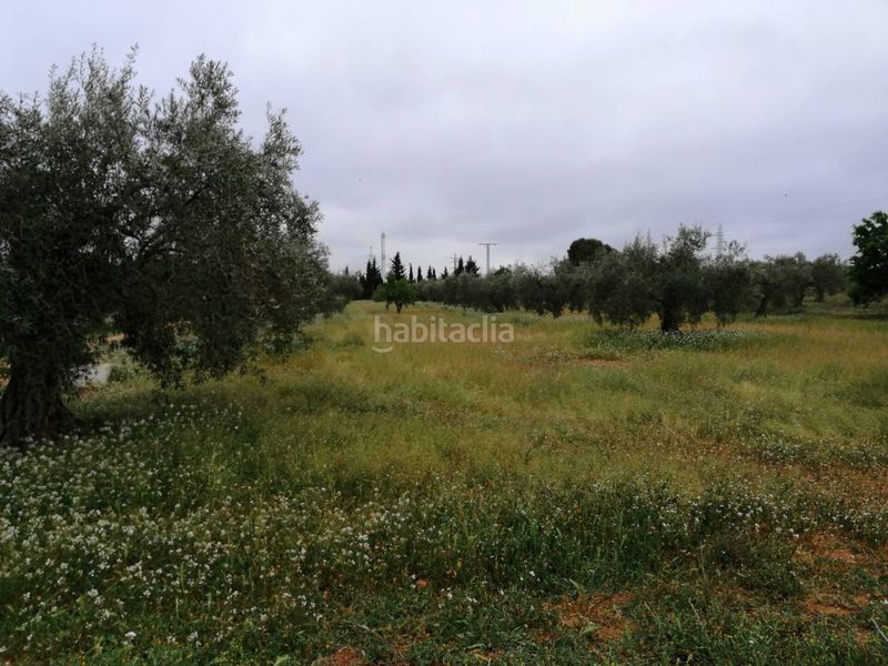 Foto 89a34035-4994-425a-be71-43e09fc23b32. Finca rústica a Hellín