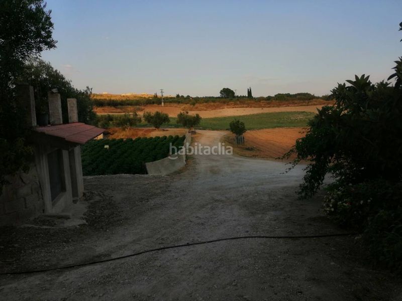 Foto 5173ed8d-7867-4f08-8398-a7893298d03d. Finca rústica a Hellín