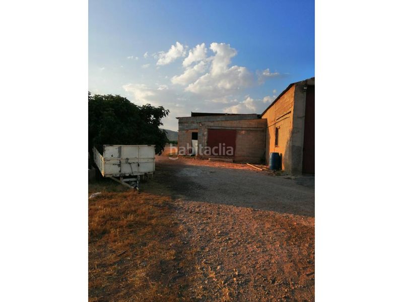 Foto e1084cf8-691d-47ec-a89f-28fa2e958767. Finca rústica a Hellín