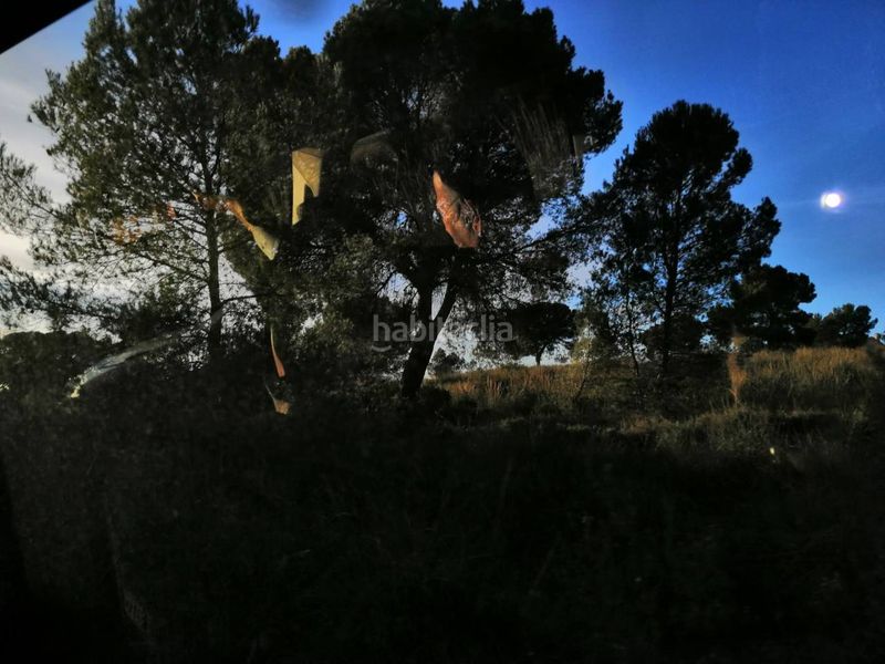 Foto c2b8d203-4a78-40df-aa78-54a429087586. Finca rústica a Albatana