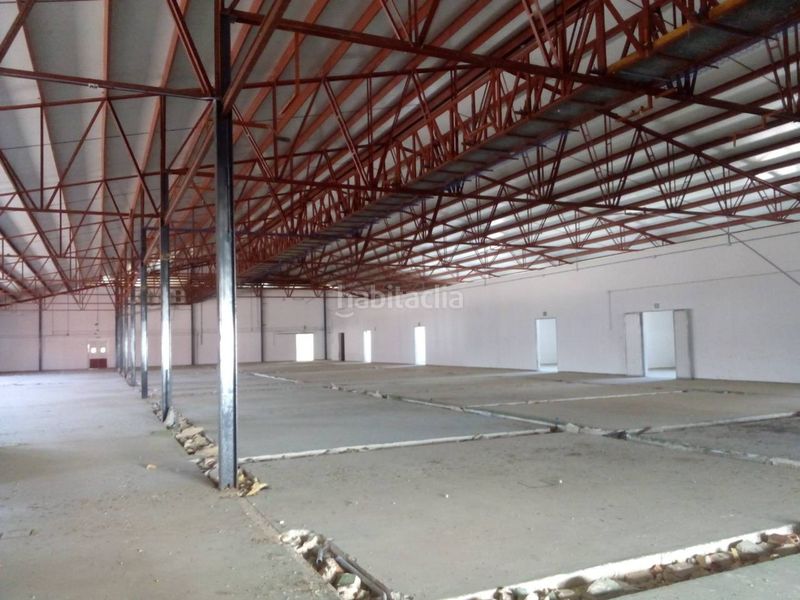 Foto 0d912728-9723-4d0a-8bcf-665dfe1a709f. Nau industrial a Hellín