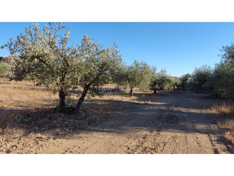 Foto f5131968-9e28-4fbf-9fee-bf66046d79aa. Finca rústica terreno urbano en venta. en Hellín
