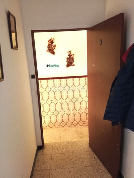 Foto 7cf65ddf-d509-4668-99c8-22ff48d9584f. Pis a Casco Antiguo Badajoz