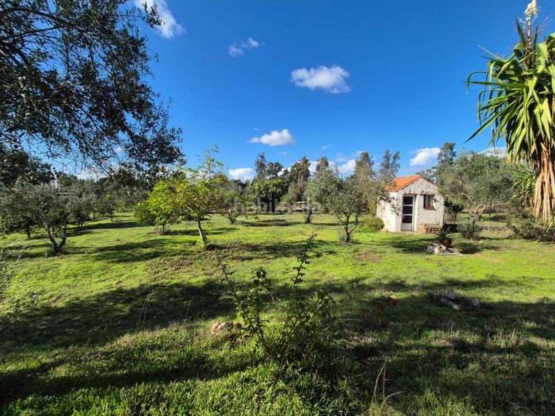 Foto 553d8980-f143-4570-a9e9-397cdd9c9ab6. Chalet  en venta en urb. río caya, 3 dormitorios. en Badajoz