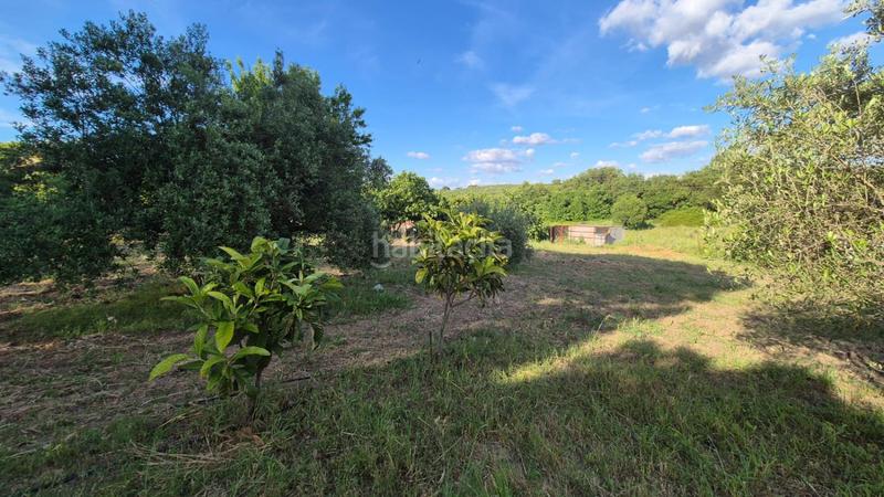 Foto 37132c79-2d87-4f87-b437-b0dbaf9a8988. Terrain résidentiel dans Dehesilla de Calamón - Campomanes Badajoz