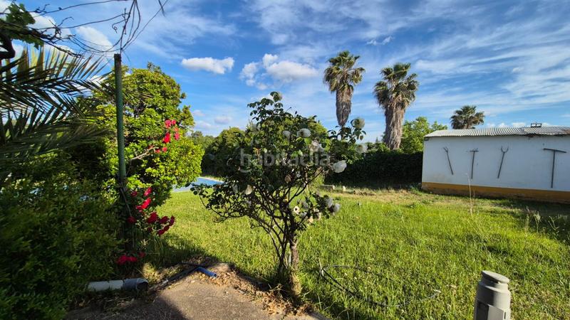 Foto 8e73ceb3-d11d-4329-b887-df9b120328a4. Terrain résidentiel dans Dehesilla de Calamón - Campomanes Badajoz