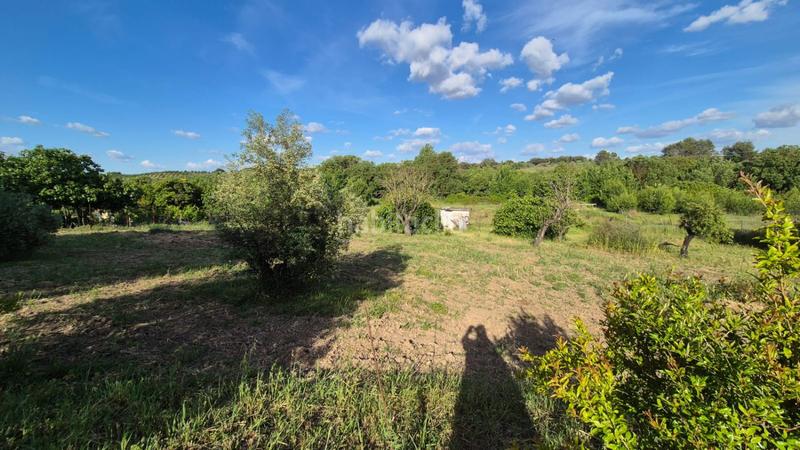 Foto ccdaa77d-1514-485f-bb4e-a8f0d4b55719. Terrain résidentiel dans Dehesilla de Calamón - Campomanes Badajoz