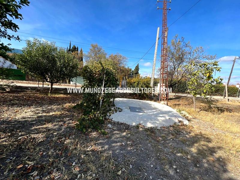 Foto aa20d0d8-ae4b-47d1-a7e8-6dfd6e8dcc06. Casa en Poleares Lucena
