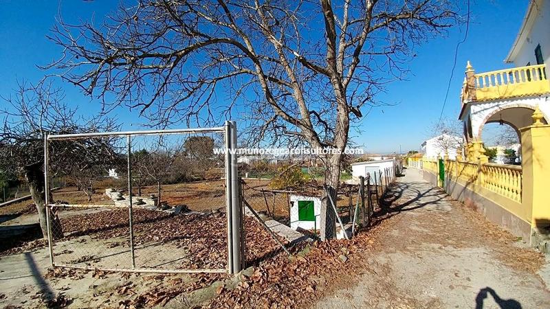 Foto 409a9be0-e2f4-4b65-8e72-3735729b5973. Bauernhof mit parking in Poleares Lucena