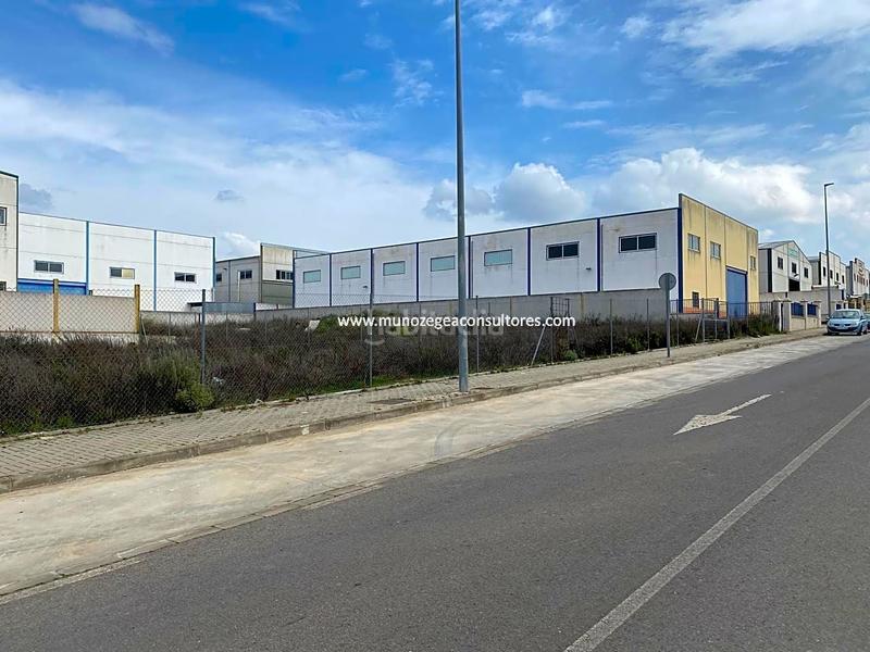 Foto efad41ff-6aac-4eae-9a1f-fb3995745a8f. Terrain résidentiel dans Las Vegas - Campoaras Lucena