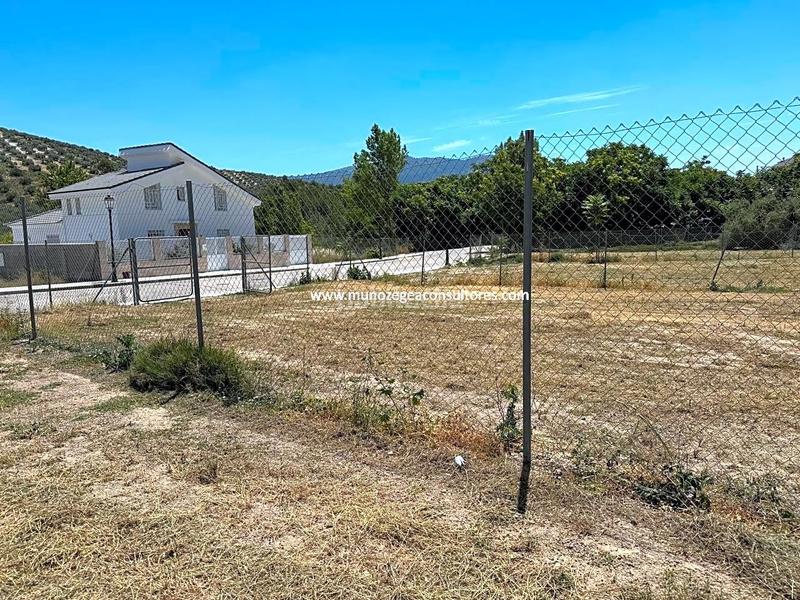 Foto 668addbc-036e-468d-8107-cd95f1901647. Wohngrundstück in Rute