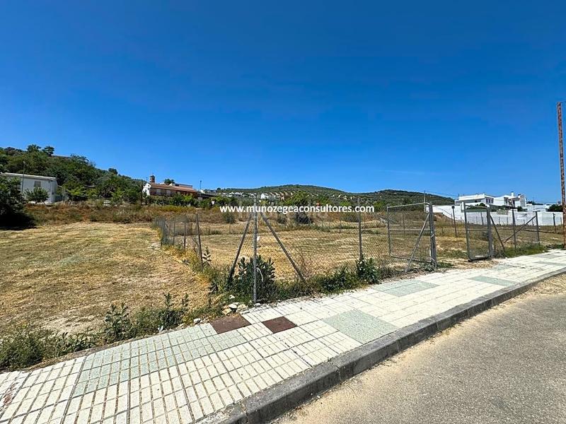 Foto f1043a7d-b91d-4ed6-bf3e-ec8b6568b2b1. Wohngrundstück in Rute