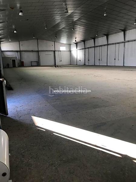 Foto a3b3e754-f81a-4af4-9cec-59bc38ff8796. Bâtiment à usage industriel dans Poleares Lucena