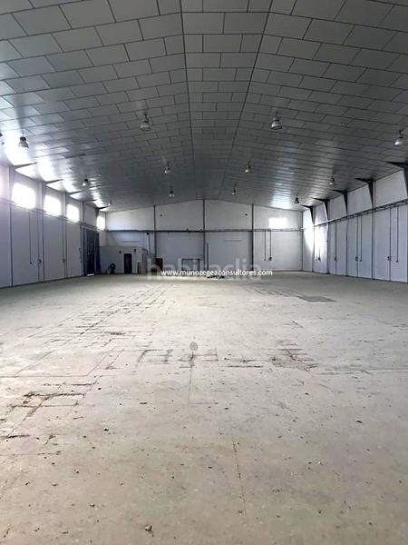 Foto 985c650e-a357-4870-8291-c8ab2467e1ca. Nave industrial en Poleares Lucena