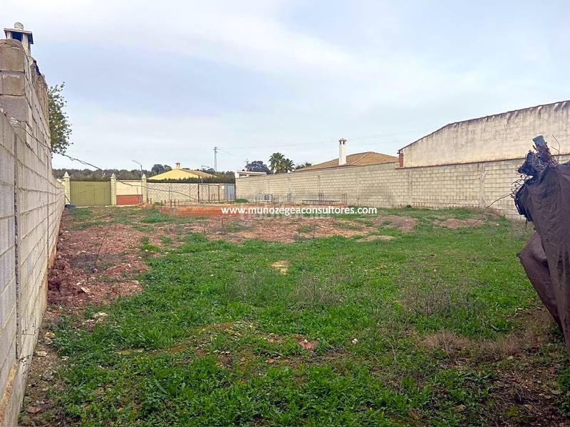 Foto 76b1dcd7-414f-4ebd-b51b-eeffd74deeeb. Residential plot in Cabra