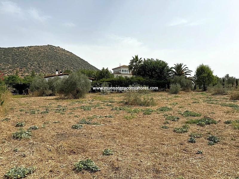 Foto 42143a51-7622-4485-abaa-79438d2fe65b. Residential plot in Las Vegas - Campoaras Lucena