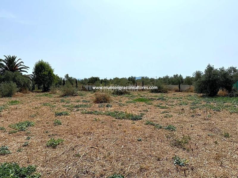 Foto 46ac06b6-8ed3-4876-8dc8-deb179026499. Residential plot in Las Vegas - Campoaras Lucena