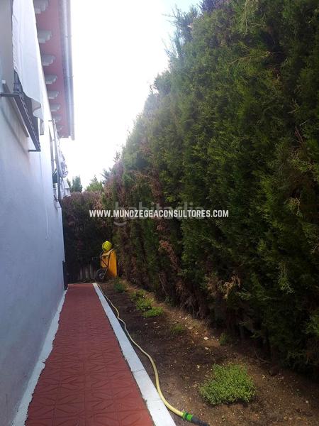 Foto 49b9e4e8-a3ea-46af-9d23-4c9b9cce4f00. Casa amb aparcament piscina a Las Vegas - Campoaras Lucena