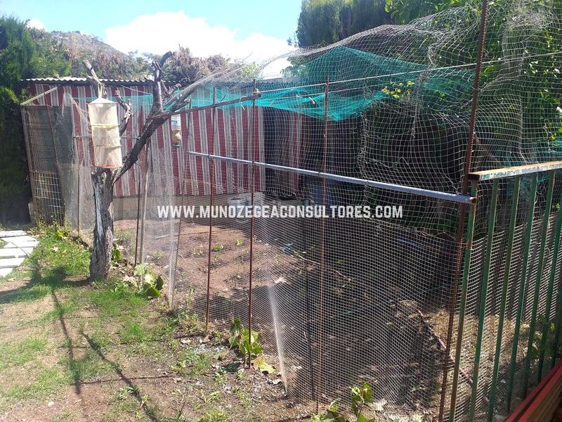 Foto c2aa1944-f50d-459e-8d2d-d11d85c63fae. House with parking pool in Las Vegas - Campoaras Lucena