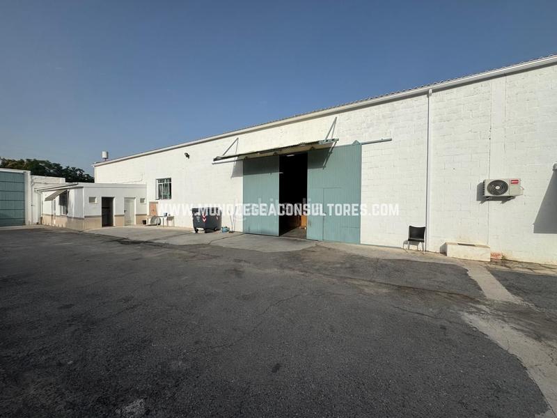 Foto 22806e69-ffa3-4be5-8fc3-e72c58426432. Affitto capannone industriale in Poleares Lucena