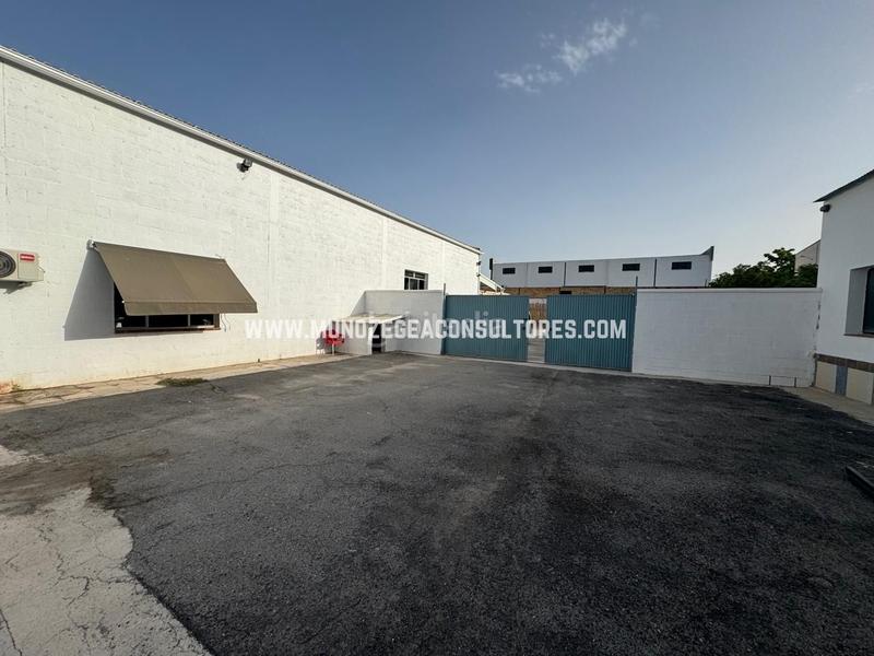 Foto e6868611-1319-474f-93cc-5c2ea797c309. Affitto capannone industriale in Poleares Lucena