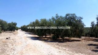 Finca rústica  Córdoba - málaga