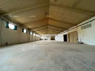 Nau industrial a Poleares