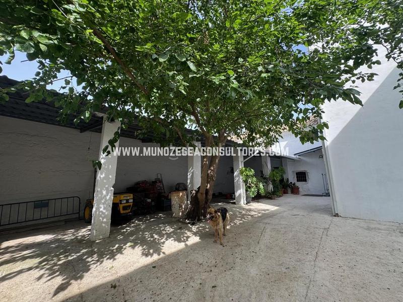 Foto 6a5ada50-1de4-4719-8842-7631c380739c. Masia amb aparcament piscina a Navas del Selpillar Lucena