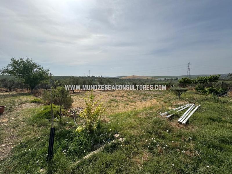 Foto eed43394-c563-4914-9eff-73141b581119. Masia amb aparcament piscina a Navas del Selpillar Lucena