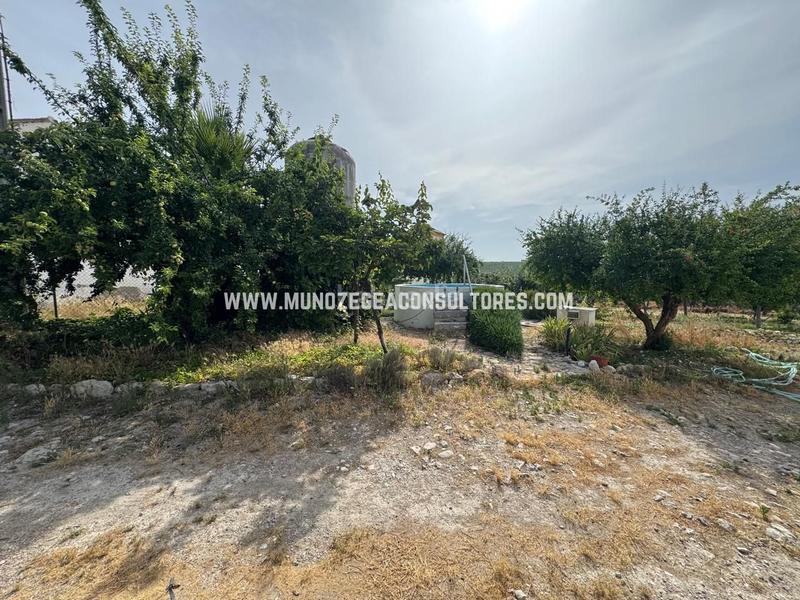 Foto efdca725-f223-48c8-a6db-f01dba49d178. Masia amb aparcament piscina a Navas del Selpillar Lucena