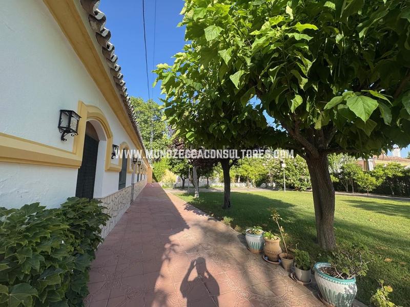 Foto 00c06993-7668-494d-876f-e10a0544d03d. Maison avec chauffage parking piscine dans Las Vegas - Campoaras Lucena