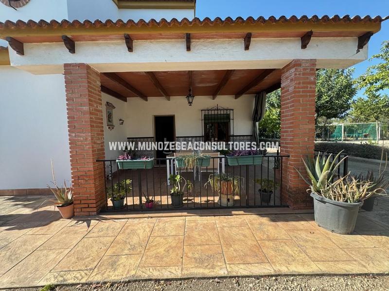 Foto 38bf3b1f-1bfc-40df-8a8c-f570919e2b78. Maison avec parking piscine dans Las Vegas - Campoaras Lucena