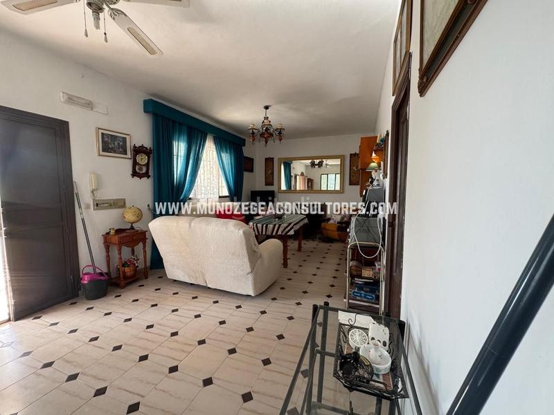 Foto 2f386458-fe4e-4560-822a-045df5c190d2. Mas dans Poleares Lucena