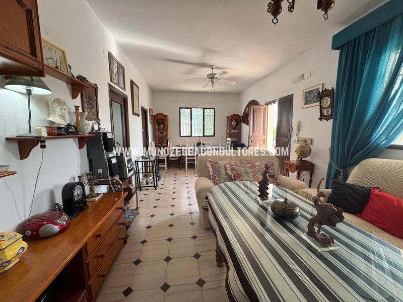 Foto 90add460-d166-4b79-863c-f288a16f387b. Mas dans Poleares Lucena