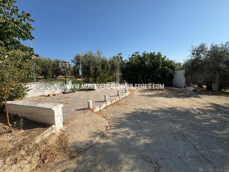 Foto bf2d4d73-b6af-47d4-b80c-38bc50df6439. Mas dans Poleares Lucena