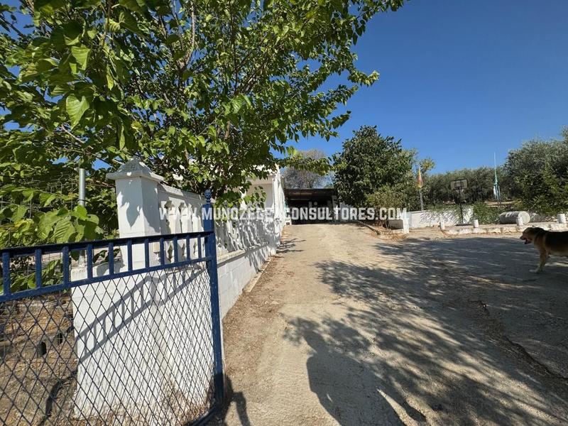 Foto f5d691ed-24e6-4caa-905c-71076f9f44b2. Mas dans Poleares Lucena