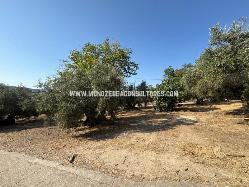 Foto ac362632-cf3a-436c-8eae-2da6b1f608af. Masía en Poleares Lucena