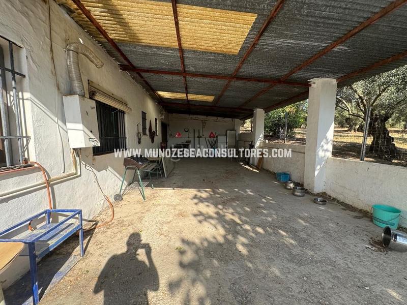 Foto c37a3545-0834-435d-aed6-0e48e771c7c8. Masía en Poleares Lucena