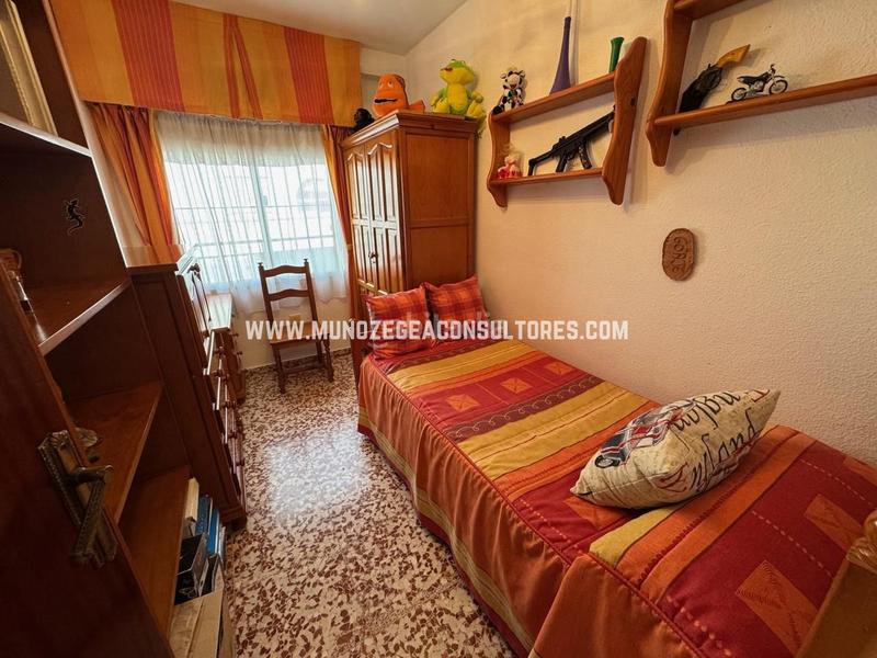 Foto cb553a1d-3c00-4df5-8ffd-1cdfe69927b5. Casa a jardín Lucena Lucena