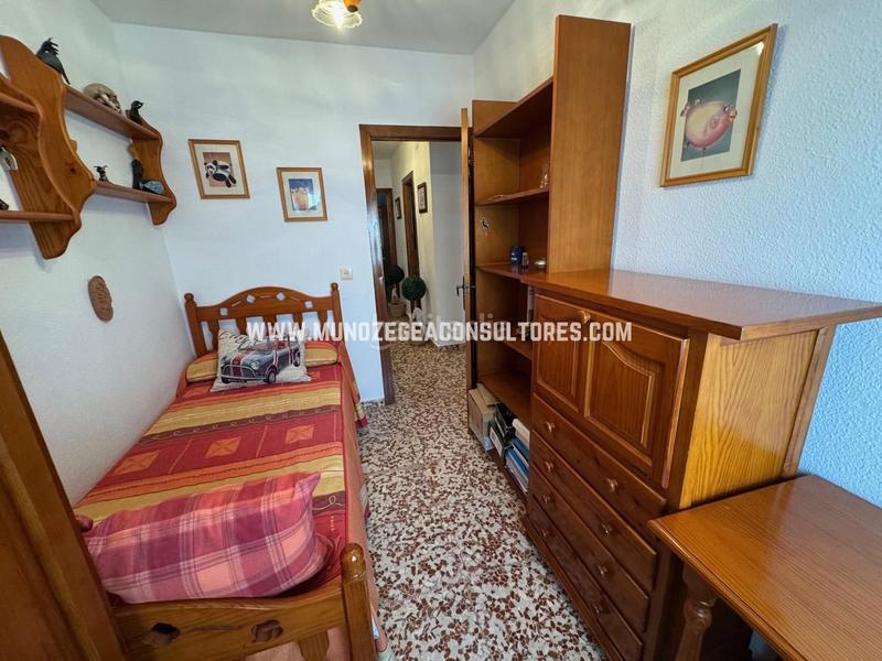 Foto dd6e28b9-065e-41b8-88d0-79dd1686bc52. Casa a jardín Lucena Lucena