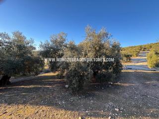 Finca rústica a Los Santos