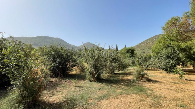 Foto 1316e1f1-8349-413c-970a-ce05495a76c9. Haus mit heizung parking pool in Carcabuey