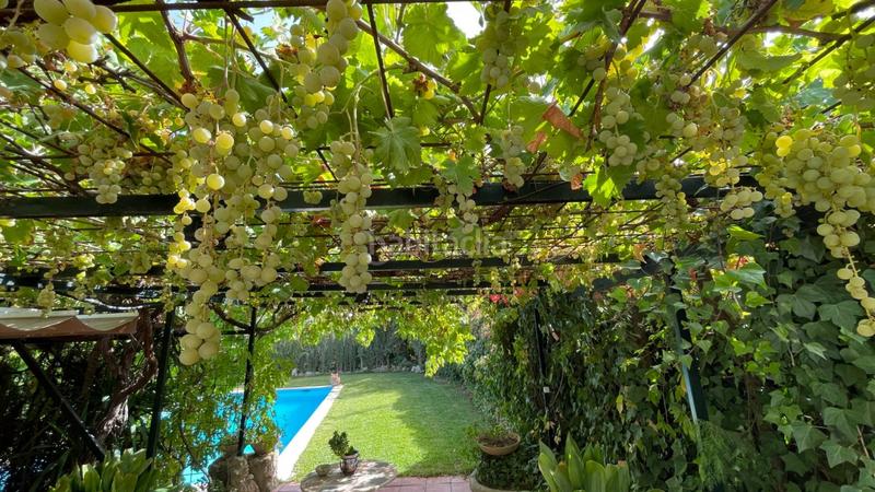 Foto 5da2f410-3464-4fef-aa81-29fd8425eca7. Haus mit heizung parking pool in Carcabuey