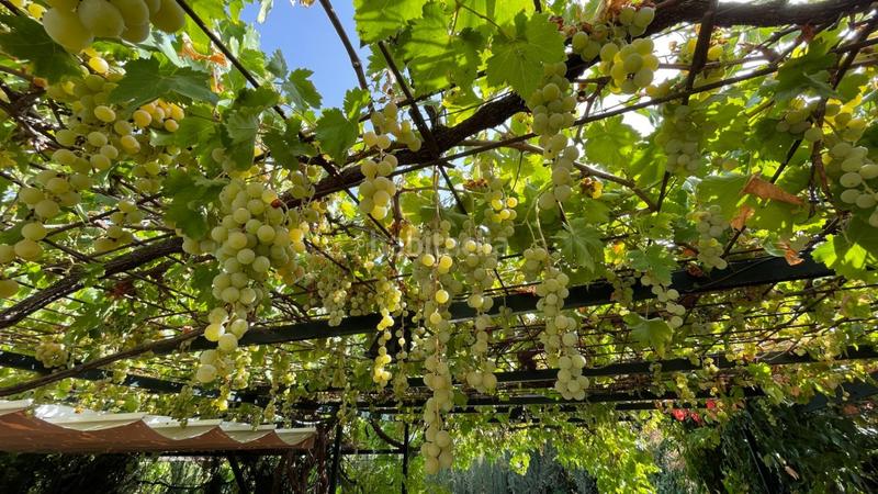 Foto 7dc1d4d5-b825-4411-96fc-9edfc6b2e163. Haus mit heizung parking pool in Carcabuey