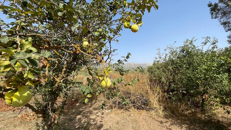 Foto 7de46dea-4dab-45d6-9372-c83b49f646c8. Haus mit heizung parking pool in Carcabuey