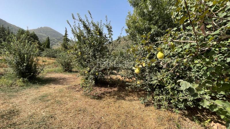 Foto 8a4475cf-97a1-4c9c-8004-18baff5e3e06. Haus mit heizung parking pool in Carcabuey