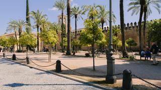 Local Comercial en Calle caballerizas reales
