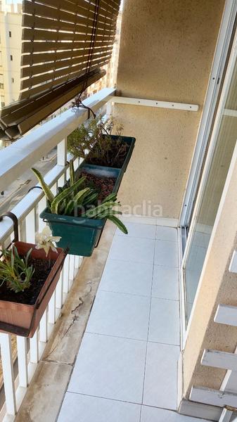 Foto 417823fe-d676-41e7-ae61-86c74ecbae8c. Flat in Plaça de Toros Palma de Mallorca