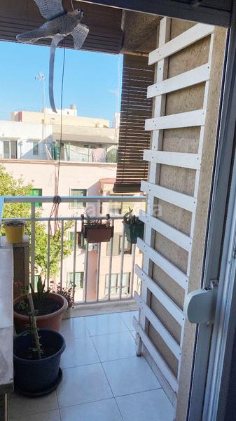 Foto 9a1bf0d3-64fa-4b49-84df-0bda4cec260a. Flat in Plaça de Toros Palma de Mallorca