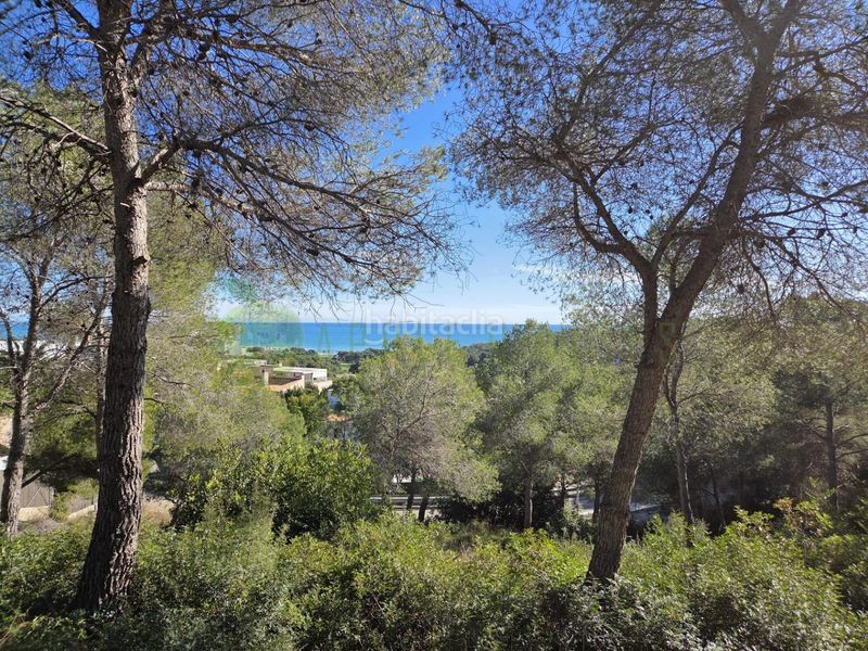 Foto a6043431-64f9-417d-a145-217fc7968e89. Terreny residencial a Can Girona - Terramar - Vinyet Sitges